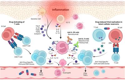 Novel targeted inhibition of the IL-5 axis for drug reaction with eosinophilia and systemic symptoms syndrome